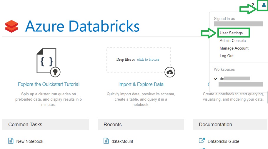 DatabricksUserSettings